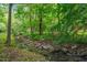 Picturesque view of a tranquil creek surrounded by lush greenery and trees at 34 Johnston St, Pittsboro, NC 27312