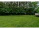Expansive green backyard providing ample space for outdoor activities and privacy at 4667 Freedom Dr, Burlington, NC 27215