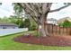 Backyard featuring a large tree with a swing, green grass, and landscaping at 4921 Sweetbriar Dr, Raleigh, NC 27609