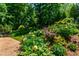 Inviting backyard with lush landscaping, mature trees, and vibrant plantings at 105 Juniper Ct, Carrboro, NC 27510