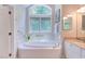 Main bathroom features a large soaking tub under a large window, double sinks, and neutral decor at 313 Helmsdale Dr, Chapel Hill, NC 27517