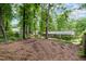 Large, private backyard with mature trees, offering a sense of seclusion and a natural setting at 606 Chalice St, Durham, NC 27705