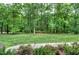 Sprawling green backyard surrounded by mature trees and lush landscaping at 168 E Deer, Apex, NC 27523