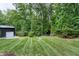 Expansive backyard featuring lush, manicured lawn and a wooded backdrop, creating a private outdoor retreat at 168 E Deer, Apex, NC 27523