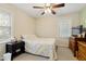 Cozy bedroom with neutral walls and two windows for ample natural light at 1732 Bobwhite Ln, Rocky Mount, NC 27804