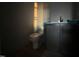 Dark bathroom featuring modern vanity with hardware and a commode against panel walls at 25 Deer Tail Ln # 52, Fuquay Varina, NC 27526