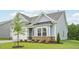 Charming home featuring light blue siding, a brick foundation, a manicured lawn, and a young tree at 529 Winding Creek Drive Dr, Lillington, NC 27546