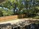 Large backyard with mature trees, a newly installed wooden fence, and a paved area, offering great outdoor potential at 541 N Daughtry St, Rocky Mount, NC 27801