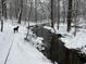 Dog on backyard trail in winter covered in snow at 8232 Glynmorgan Way, Chapel Hill, NC 27516