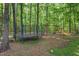 Wooded backyard featuring a trampoline, swingset and slide, ideal for Gathering fun and outdoor play at 8232 Glynmorgan Way, Chapel Hill, NC 27516