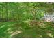 Lush backyard featuring a grassy slope with stone steps, surrounded by mature trees, offering a serene, natural setting at 8232 Glynmorgan Way, Chapel Hill, NC 27516