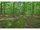 Wooded backyard showcasing mature trees, with a fire pit and bench creating a peaceful outdoor setting at 8232 Glynmorgan Way, Chapel Hill, NC 27516