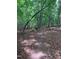 Backyard wooded trail covered in leaves at 8232 Glynmorgan Way, Chapel Hill, NC 27516