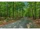 Gravel driveway leading to a secluded property, surrounded by mature trees, offering privacy and natural beauty at 8232 Glynmorgan Way, Chapel Hill, NC 27516
