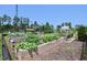 Community garden with raised garden beds, walking path, and a shaded gazebo area at 1033 Cuthbert Ln, Durham, NC 27703