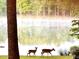 Scenic lake view with misty reflections, framed by tall trees and two deer grazing nearby at 11813 Edgewater Ct, Raleigh, NC 27614