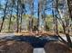 Circular driveway is surrounded by majestic trees and scenic landscaping at 11813 Edgewater Ct, Raleigh, NC 27614