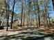 Long private drive leading to a charming white home with lush, mature trees and natural landscaping at 11813 Edgewater Ct, Raleigh, NC 27614