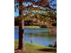 Scenic lake view featuring a heron standing on the grassy bank under a colorful tree at 11813 Edgewater Ct, Raleigh, NC 27614