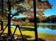 Scenic lake view from the backyard with a wooden swing; nature and serenity at 11813 Edgewater Ct, Raleigh, NC 27614