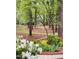 Serene garden with dogwood trees, azaleas, brick-lined flowerbeds, and winding mulched paths at 11813 Edgewater Ct, Raleigh, NC 27614