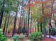 Yard with American flag, colorful fall leaves, and mature trees at 11813 Edgewater Ct, Raleigh, NC 27614