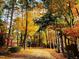 Scenic view with mature trees, fall foliage, American flag and lush natural landscaping at 11813 Edgewater Ct, Raleigh, NC 27614