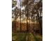 Backyard view of autumn sunset, trees, and distant people around a fire pit at 2603 Red Pine Rd, Hillsborough, NC 27278