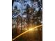 Autumn trees at sunset at 2603 Red Pine Rd, Hillsborough, NC 27278