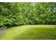 Lush backyard with green grass and mature trees, creating a private and serene outdoor space at 2917 Kesler Trl, Mebane, NC 27302