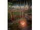 Night view of backyard featuring wooden swing and fire pit illuminated by string lights at 305 Monterey Ct, Benson, NC 27504