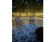 Back deck at night at 305 Monterey Ct, Benson, NC 27504