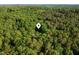 An aerial perspective shows a home located within a vibrant and dense forest landscape at 4022 Tecolote Way, Hillsborough, NC 27278