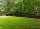 Expansive green backyard bordered by mature trees, offering ample space for recreation and relaxation at 4505 Wood Valley Dr, Raleigh, NC 27613