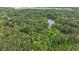 Lush green aerial view of a neighborhood with a pond and plentiful trees at 5241 Mill Dam Rd, Wake Forest, NC 27587