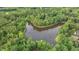 Aerial view of a pond surrounded by lush green trees at 5241 Mill Dam Rd, Wake Forest, NC 27587