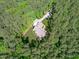 Aerial view of a quaint house surrounded by dense trees with a long private driveway and green lawn at 59 Mill Rd, Pittsboro, NC 27312