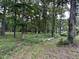 Forested lot with mature trees offers privacy and plenty of nature at 6010 Bonlee Bennett Rd, Bear Creek, NC 27207