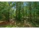 Lush, green backyard surrounded by dense trees, creating a private, tranquil outdoor space at 603 Middleton Ave, Cary, NC 27513
