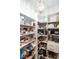 Walk-in pantry featuring ample shelving for food storage and appliances at 8461 Lentic Ct, Raleigh, NC 27615