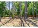 Scenic backyard with mature trees, providing shade and a serene natural setting at 105 Blue Prince Trl, Holly Springs, NC 27540