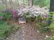 Serene backyard with bench surrounded by mature trees and colorful azalea bushes at 11009 Eaglerock Dr, Raleigh, NC 27613