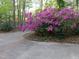 Driveway with blooming azaleas, showcasing the lush, natural setting of the property at 11009 Eaglerock Dr, Raleigh, NC 27613
