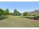 Expansive backyard with mature trees and lush green lawn, ideal for recreation at 1104 Dominion Hill Dr, Cary, NC 27519