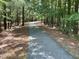 Scenic walking path surrounded by lush trees and foliage, perfect for nature lovers at 1104 Dominion Hill Dr, Cary, NC 27519