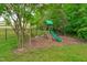 Spacious backyard with playground, lush greenery, and well-maintained lawn at 1401 Everette Fields Rd, Morrisville, NC 27560