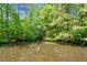 View of the tranquil pond reflecting the surrounding trees, offering a serene and natural ambiance at 1661 Reno Sharps Store Rd, Bear Creek, NC 27207