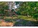 Backyard playground with swing set and slide set amid lush greenery at 206 Cottrell Dr, Louisburg, NC 27549