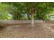 The spacious backyard features a mature tree providing shade and a well-maintained wooden fence for added privacy at 401 Haywood St, Raleigh, NC 27601