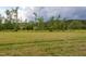 Large open field with a tree line at 474 Pine Ridge Rd, Zebulon, NC 27597